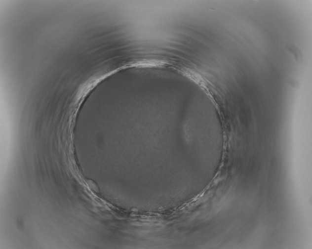 X0000111860337200907301136