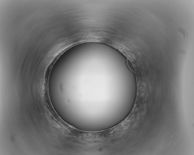 X0000111860338200907301136