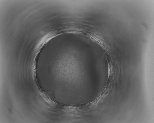 X0000111860339200907301136