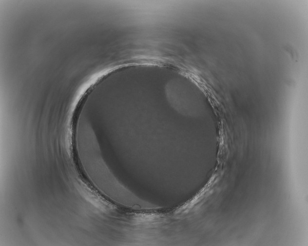 X0000111860342200907301136