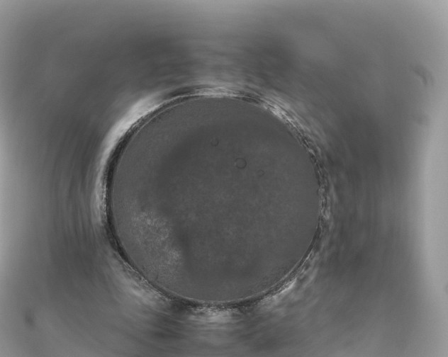 X0000111860343200907301136