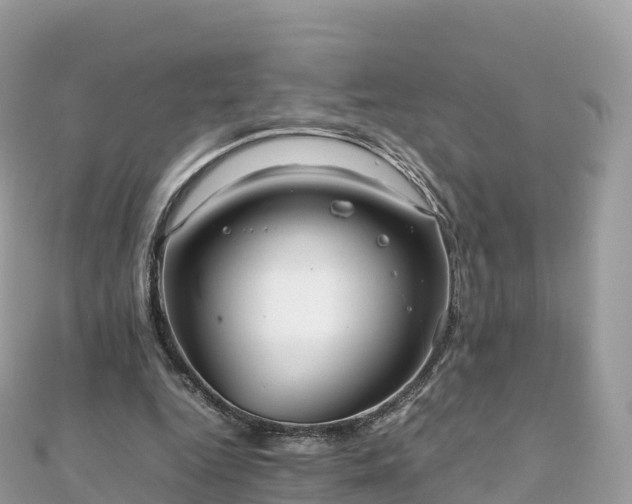 X0000111860344200907301136