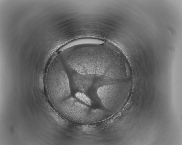 X0000111860345200907301136