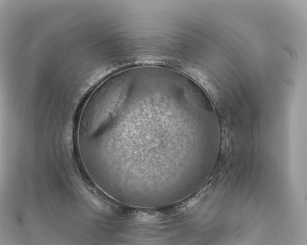 X0000111860346200907301136