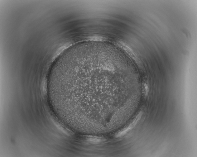 X0000111860347200907301136