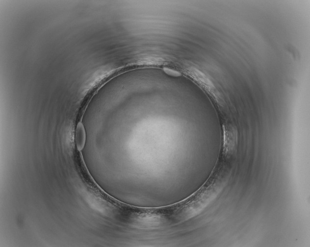 X0000111860348200907301136