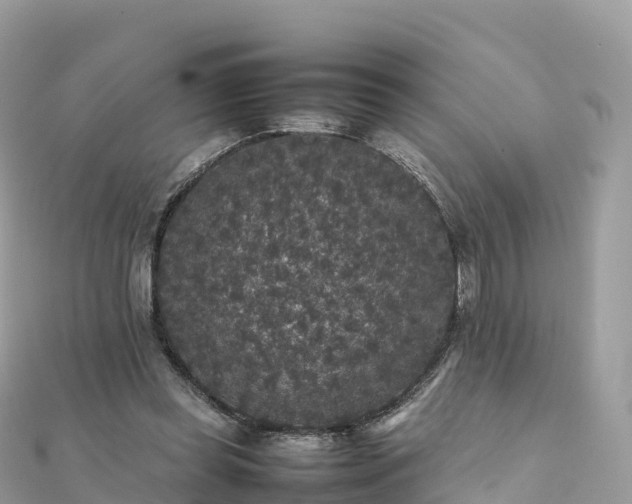 X0000111860349200907301136