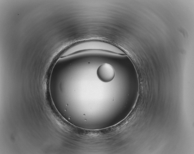 X0000111860350200907301136