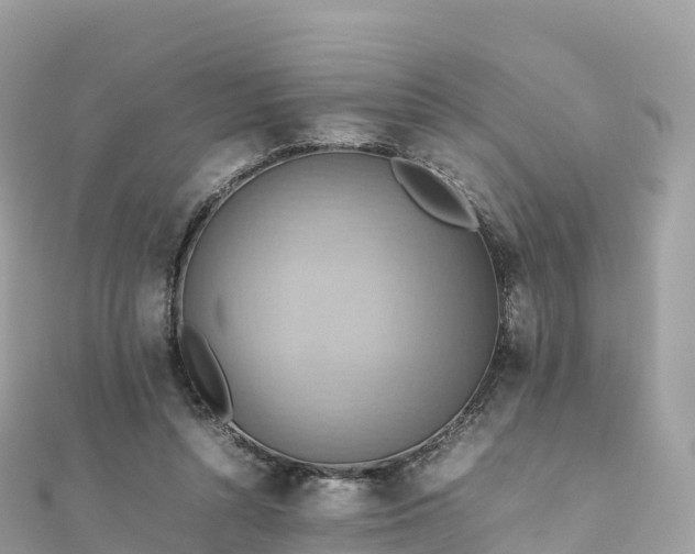 X0000111860352200907301136