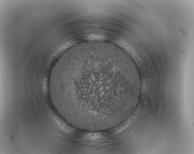 X0000111860353200907301136