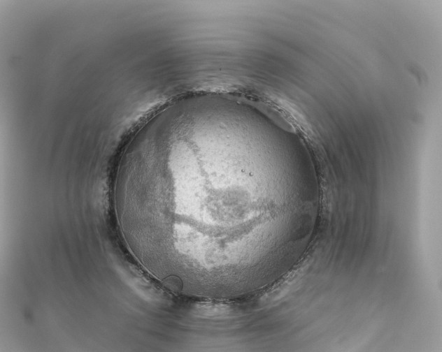 X0000111860354200907301136