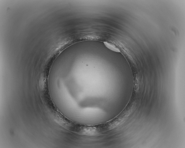 X0000111860355200907301136