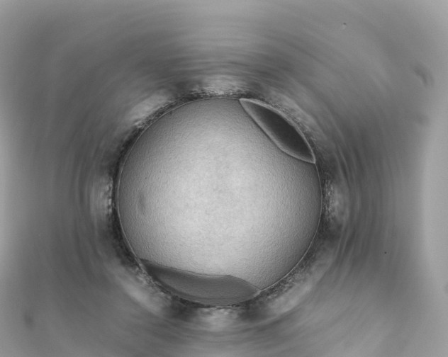 X0000111860356200907301136