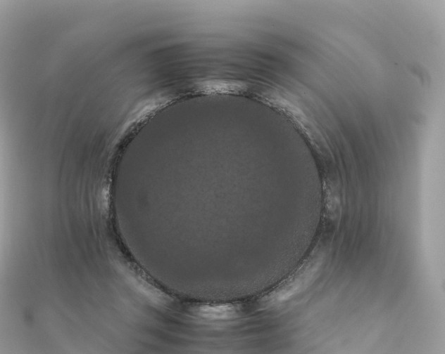 X0000111860357200907301136