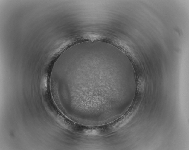 X0000111860358200907301136