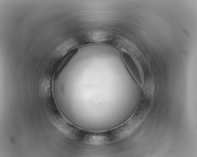 X0000111860360200907301136