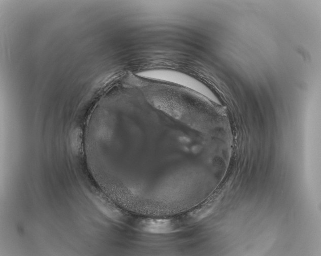 X0000111860361200907301136