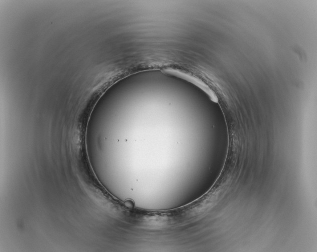 X0000111860362200907301136