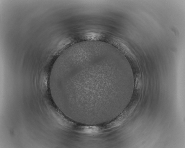 X0000111860363200907301136