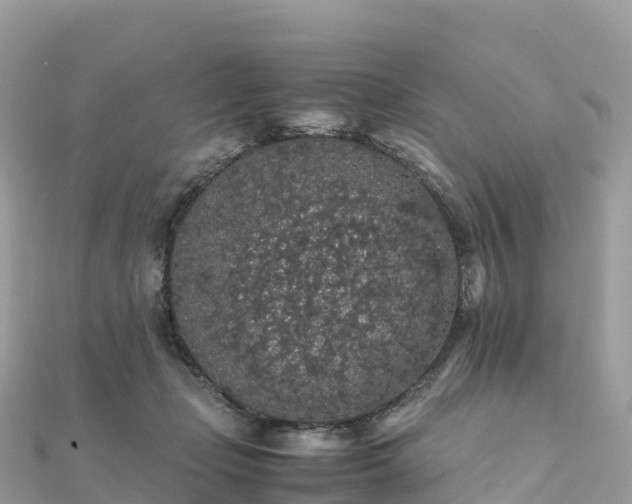 X0000111860365200907301136