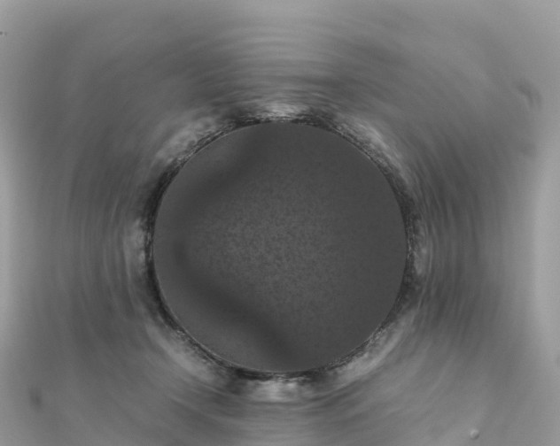 X0000111860366200907301136