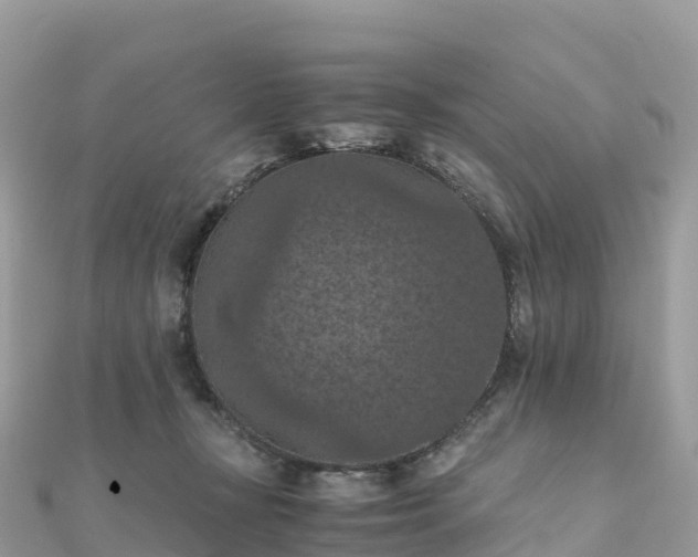 X0000111860367200907301136