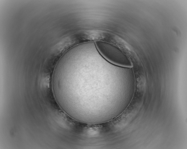 X0000111860368200907301136