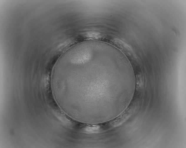 X0000111860369200907301136