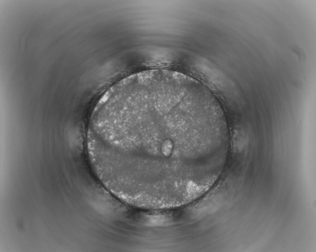 X0000111860370200907301136