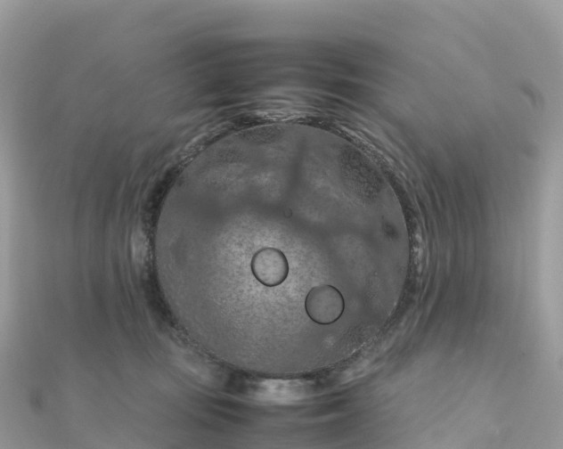 X0000111860371200907301137