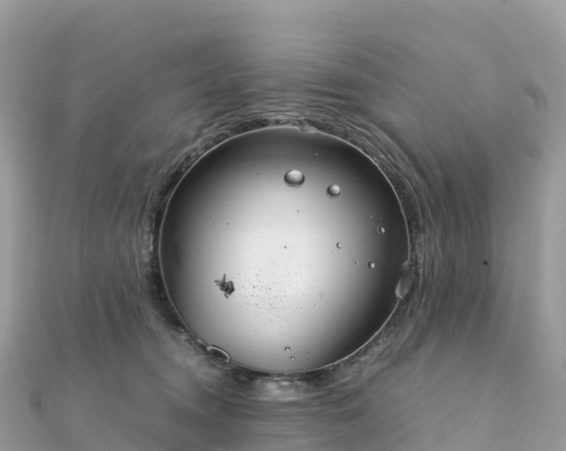 X0000111860372200907301137