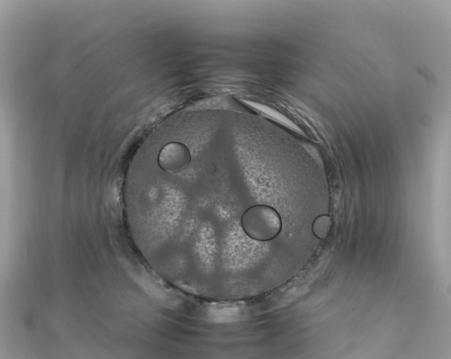 X0000111860373200907301137