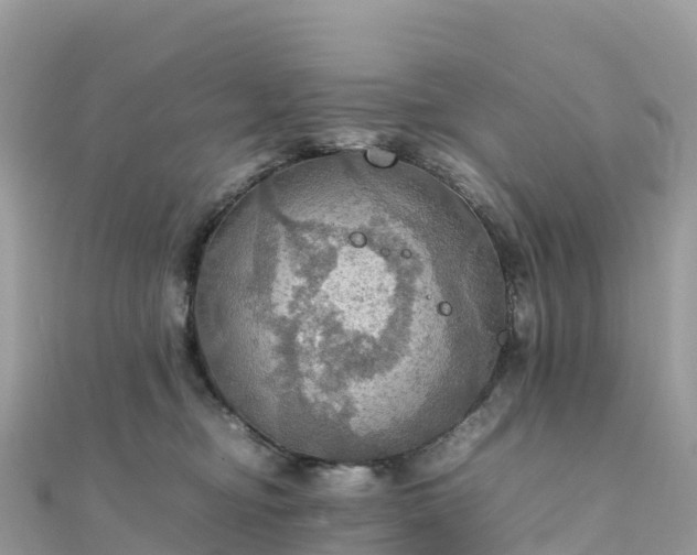 X0000111860374200907301137