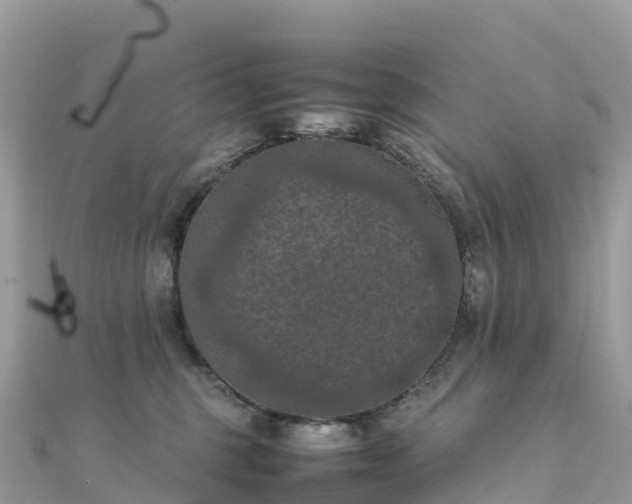 X0000111860375200907301137