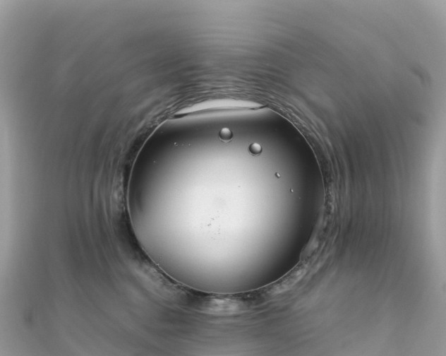 X0000111860376200907301137