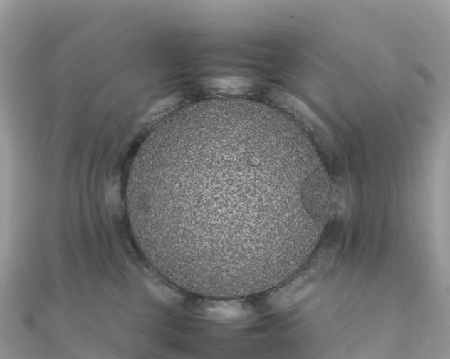 X0000111860377200907301137