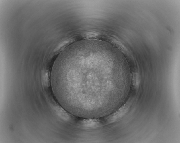 X0000111860378200907301137