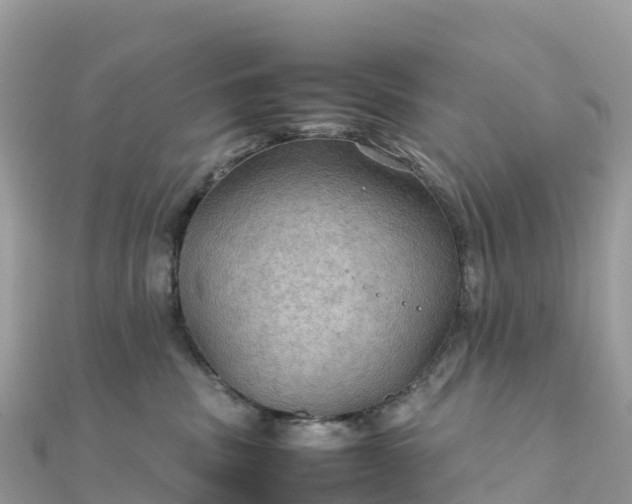 X0000111860379200907301137