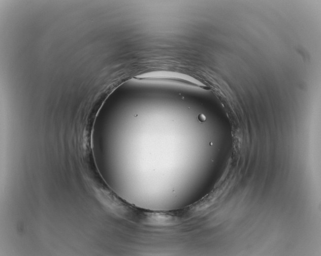 X0000111860380200907301137