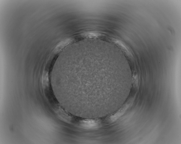 X0000111860381200907301137