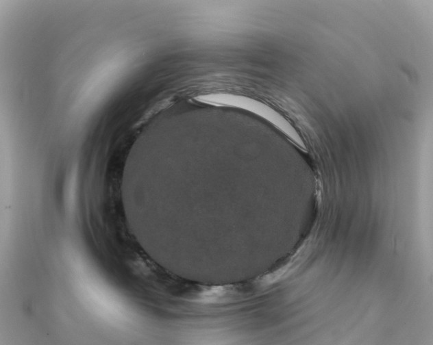 X0000111860382200907301137