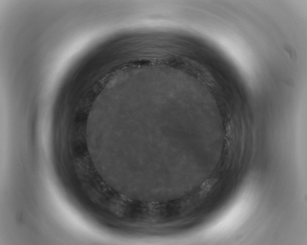 X0000111860383200907301137