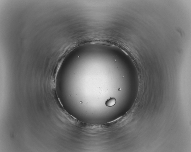 X0000111860384200907301137