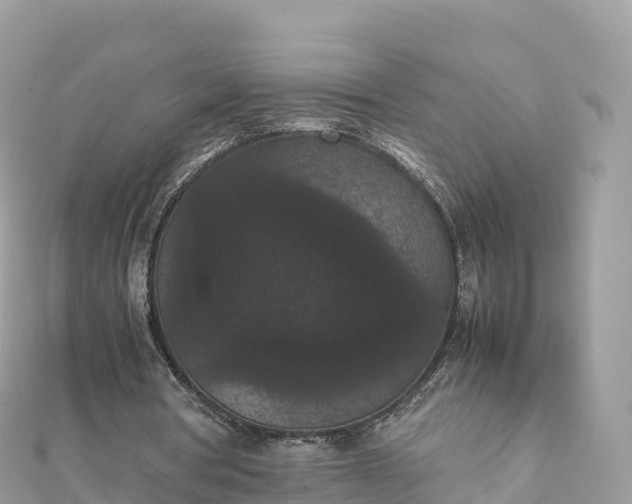 X0000111860386200907301136