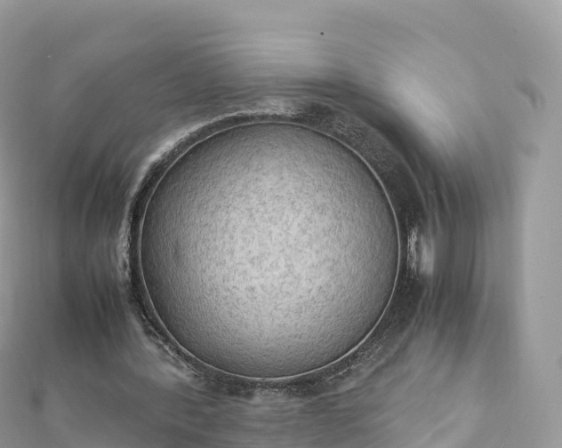 X0000111860388200907301136