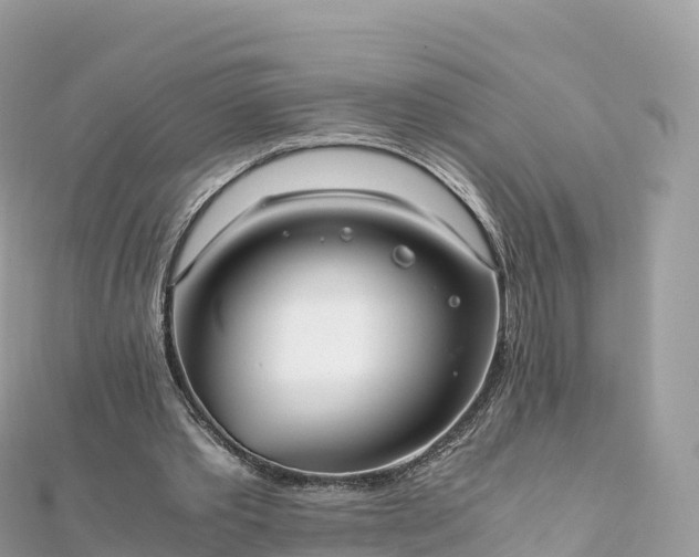 X0000111860389200907301136