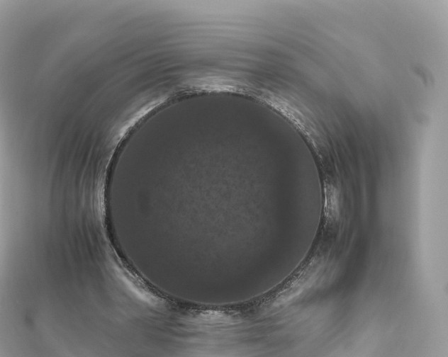 X0000111860390200907301136