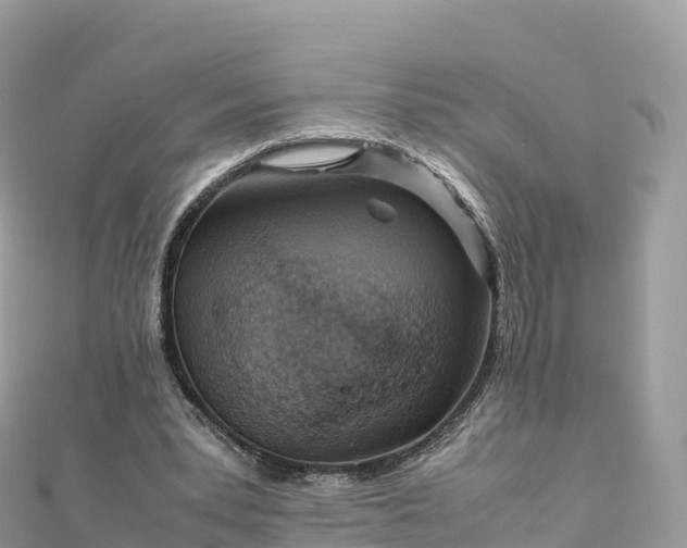 X0000111860391200907301136