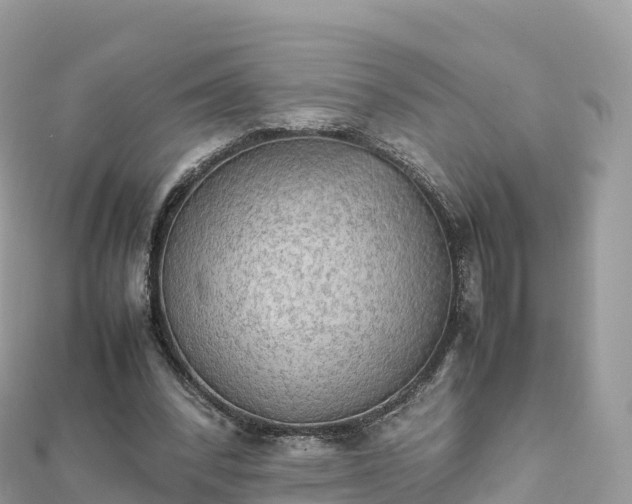 X0000111860392200907301136