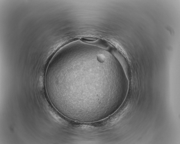 X0000111860393200907301136